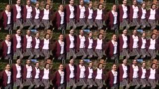 BRIGIDINE COLLEGE CLASS OF 2015