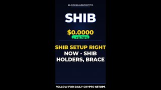 SHIB Setup Right Now - SHIB Holders, Brace Yourself