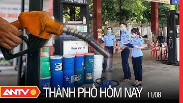 7 Doanh Nghiệp Đầu Mối Xăng Dầu Bị Tước Giấy Phép Hoạt Động| Thành Phố Hôm Nay Ngày 11/8 |