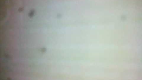 14.01.2020 قراءة من صلاة العشاء أوائل سورة يوسف و الهمزة للشيخ يوسف بن عاطي بمسجد أبي حامد الغزالي