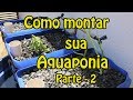 Como montar seu sistema de aquaponia (passo a passo) – parte 2