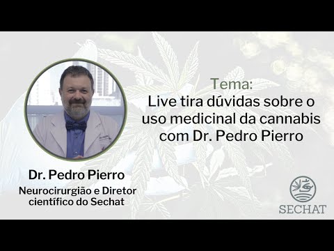 Live tira dúvidas sobre o uso medicinal da cannabis com Dr. Pedro Pierro Parte 1