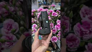 Nikon Z6 body chỉ 16🥔 #cuongtonny #vuonggiangcamera