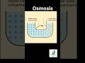 "Osmosis: Meaning and Correct Pronunciation Explained!" #osmosis #biology #thelifescienceeducator