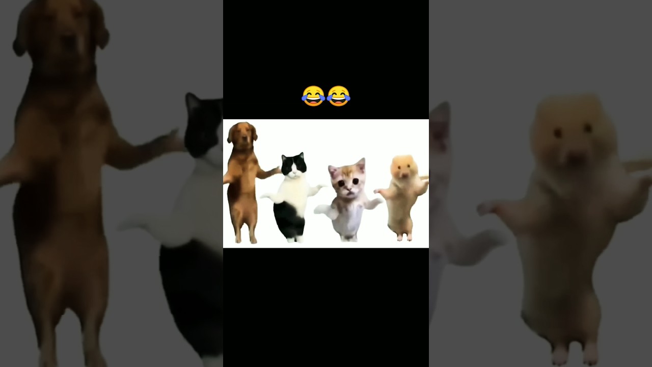 😂😂Jogi ji nind na aave