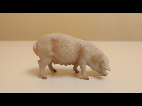 Обзор фигурки домашней свиньи (Papo, 2010)