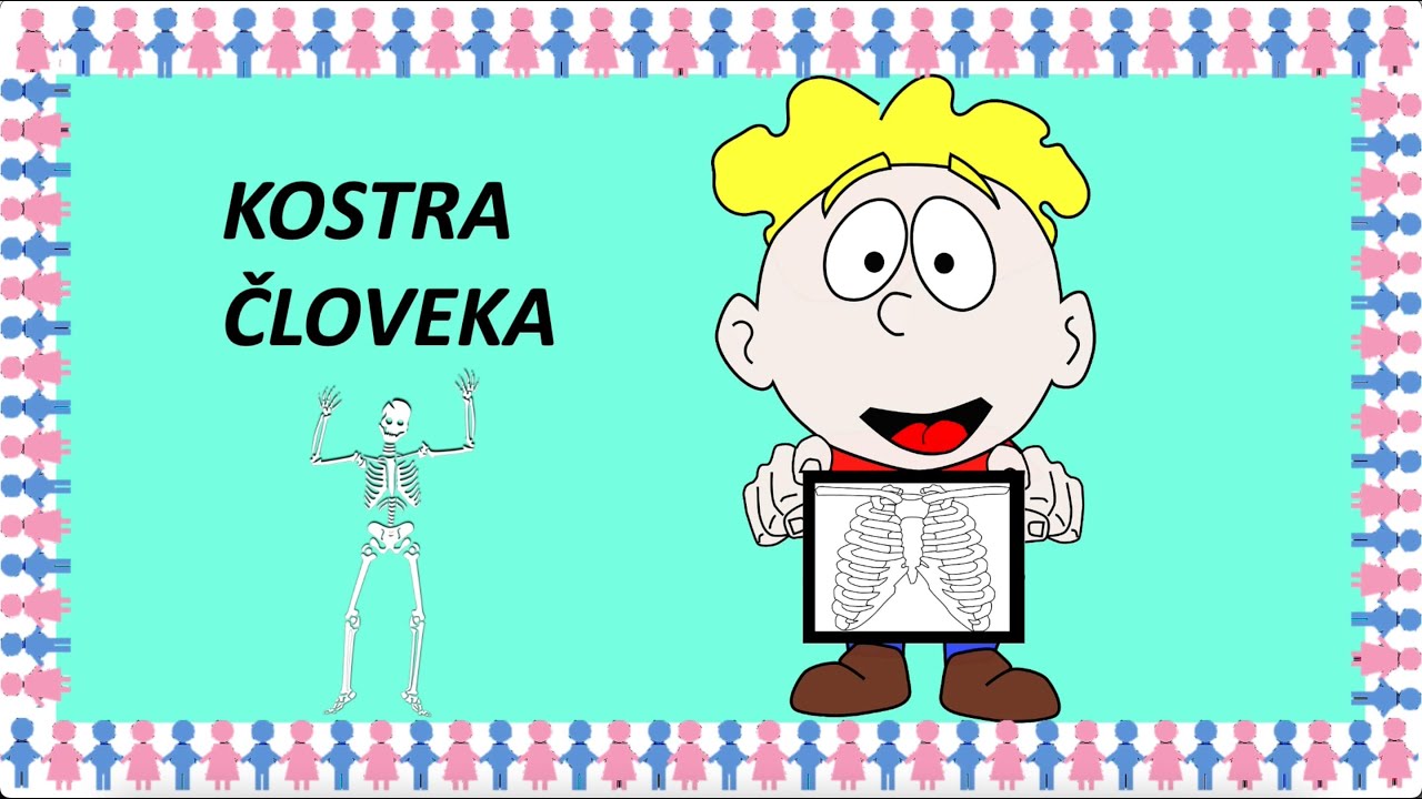 Kostra človeka | maminask :)
