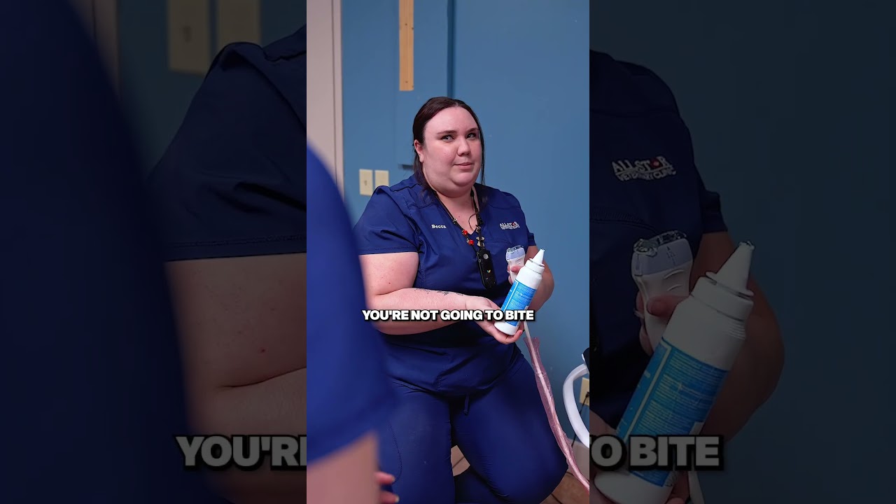 Everyone in vet med has had the URGE #shorts #vetmed #ultrasound
