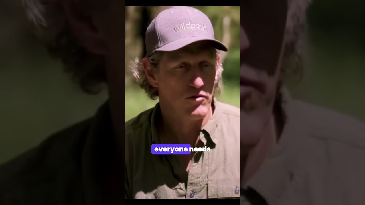 What Can We Do To Save Florida's Wildlife Corridor?