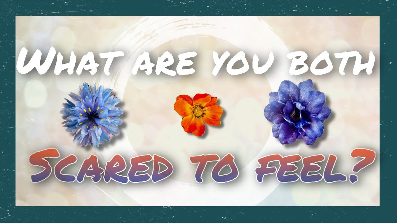 What are they (you) scared to feel?  PICK A CARD ☁️HEALING READING