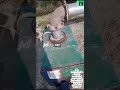 P&P Solar Tubwell | 14solarpanels |# 10hpMotor