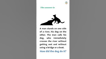 How did the dog cross the river without getting wet? #shorts