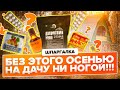 ВСЕ РАБОТЫ НА ДАЧЕ ОСЕНЬЮ В ОДНОМ ВИДЕО! ШПАРГАЛКА!