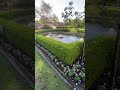 “Beautiful park view 🌿 #nature #travel #sydney”