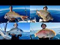 Mooloolaba Fishing Offshore 60+ Metres (Pearl,Snapper,Tusk,Emperor,Trout)