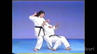 Self defense _ Kyokushin Karate Encyclopedia Vol 3