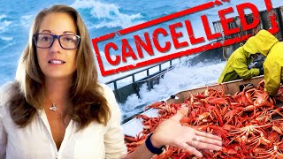 Marine Biologist: Why Did 11 Billion Snow Crab Disappear?