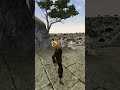 Killing the adoring fan in Morrowind every day until Skywind and Skyblivion are released Day - 789