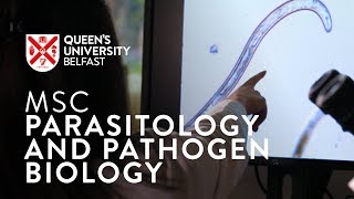 MSc Parasitology and Pathogen Biology