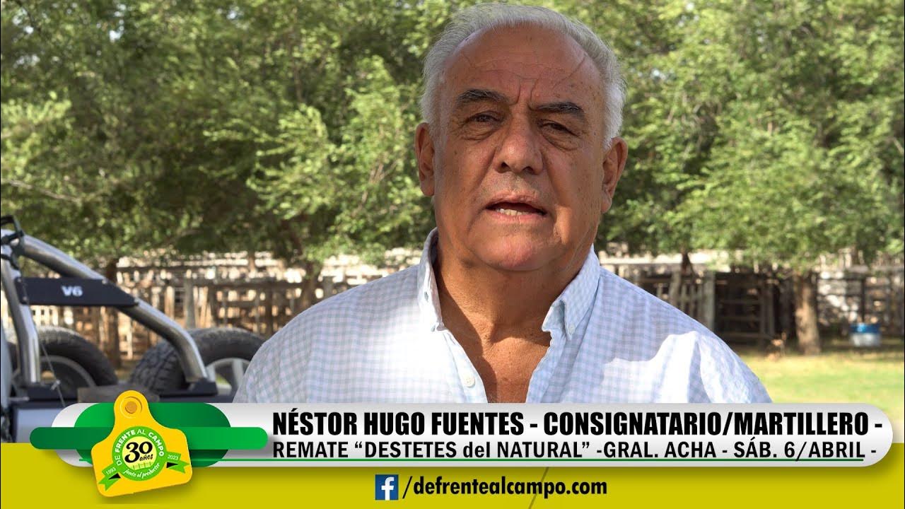 NESTOR YouTube