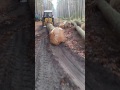 Zrywka drewna #2 (Ursus 914)