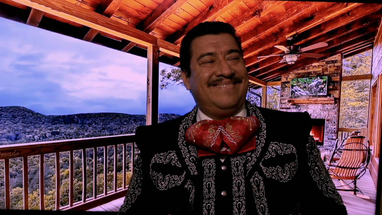 PALOMA QUERIDA DE JOSÉ ALFREDO JIMÉNEZ YouTube