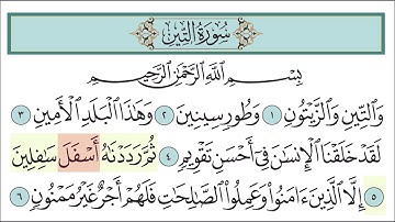 سورة التين للأطفال مع تتبع الكلمات || المصحف المعلم لخليفة الطنيجي Surah At-Tin