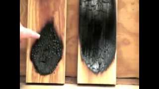 Fire Retardant Coating for Wood