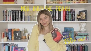 Мои книжные полки