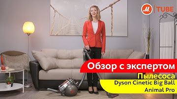 Обзор пылесоса Dyson Cinetic Big Ball Animal Pro с экспертом «М.Видео»