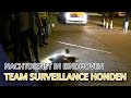 POLITIEHONDEN | TEAM SURVEILLANCE HONDEN | NACHTDIENST IN EINDHOVEN