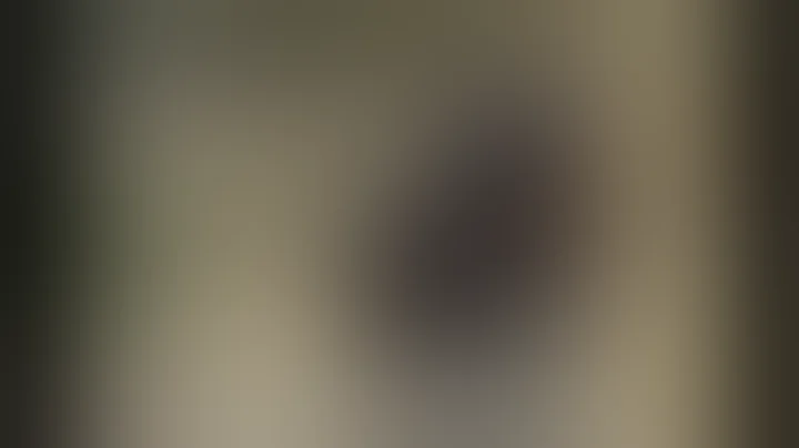 Auf nach Nepal 3 - Far Cry 4 (PS4, PS3, Deutsche Untertitel)