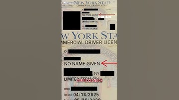 Illegal migrant apprehended with SHOCKING words on NY driver