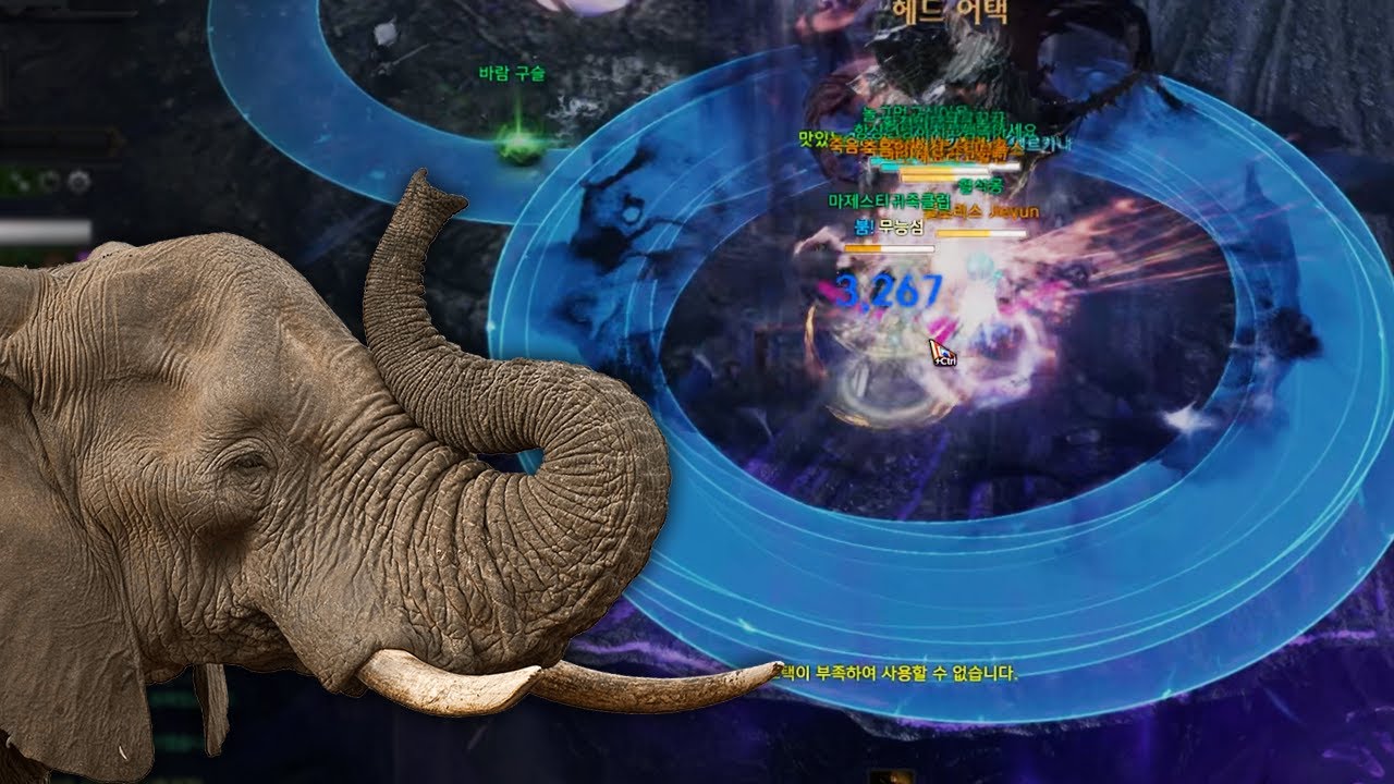 와ㅋㅋ 코끼리도 들어가겠네 ㄷㄷ;