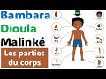 Apprendre les parties du corps humain en Bambara Dioula Malinké | Zanga School