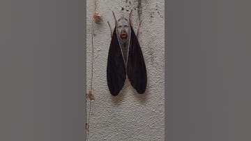 KILL IT WITH FIRE 🔥 😱 #shorts