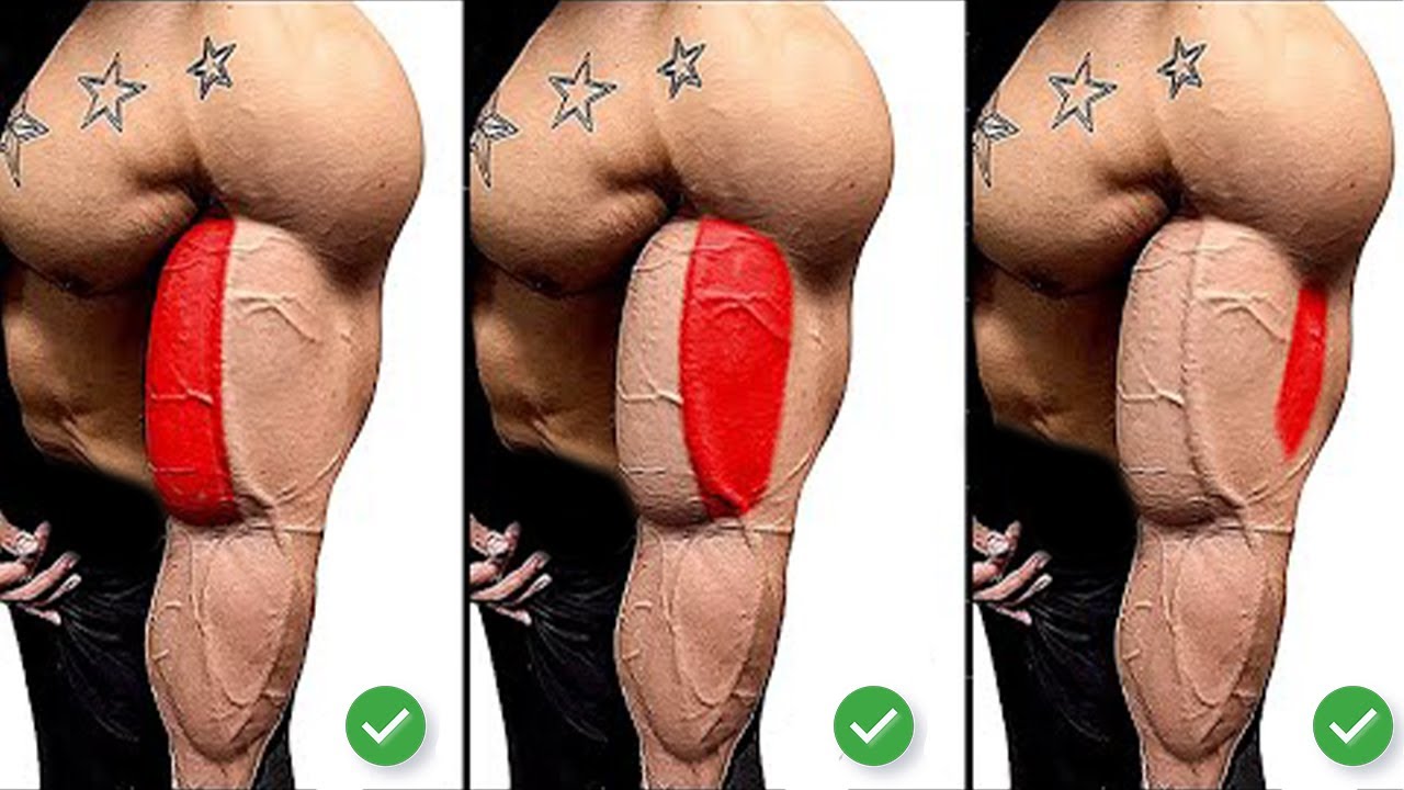 Best Exercises For Huge Biceps Fast - YouTube