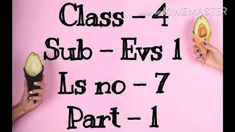 std: IV: EVS-1: l.no.7 Food and Nutrition ( Part 1)