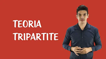 O que significa dizer que o Brasil tenha um sistema tripartite?