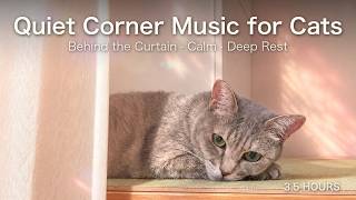 Quiet Corner Music for Cats 🌸 Soft Music Box for Calm and Sleep | 3.5 Hours screenshot 5