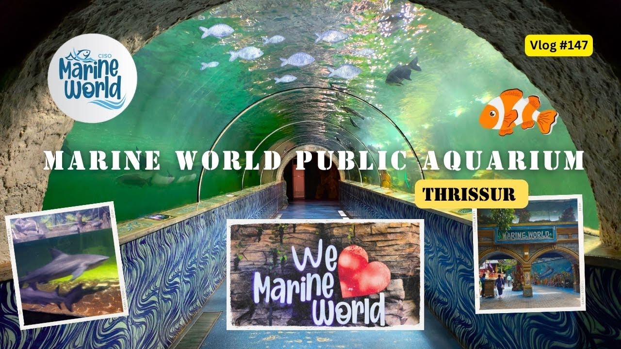 Marine World Public Aquarium Underwater Tunnel Thrissur Kerala 