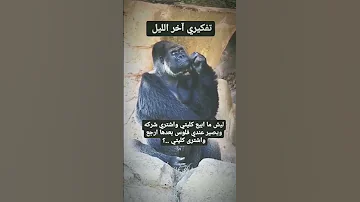ابيع كليتي وارجع اشتريها 