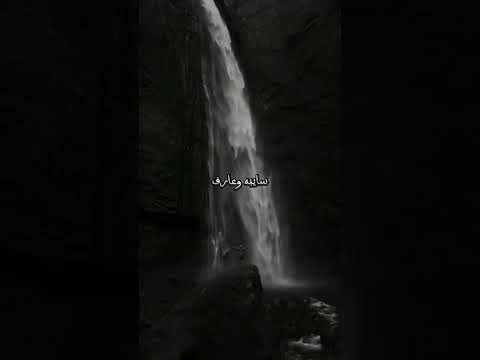 مسلم مبقتش عارف اعمل ايه حالي مش صعبان عليك