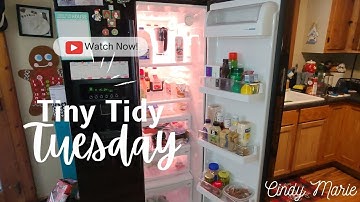 TINY TIDY TUESDAY | FRIDGE CLEANOUT