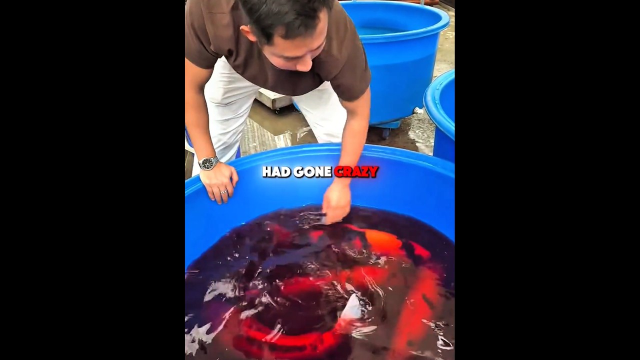 #smallcreator
