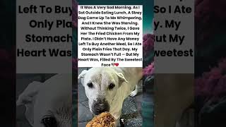 ​The Kindest Act: Sharing My Lunch with a Starving Soul