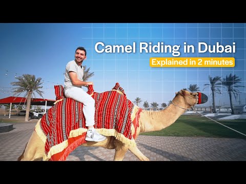 I tried camel riding in Dubai Desert Safari!