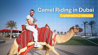 Dubai Desert Safari | Camel Riding