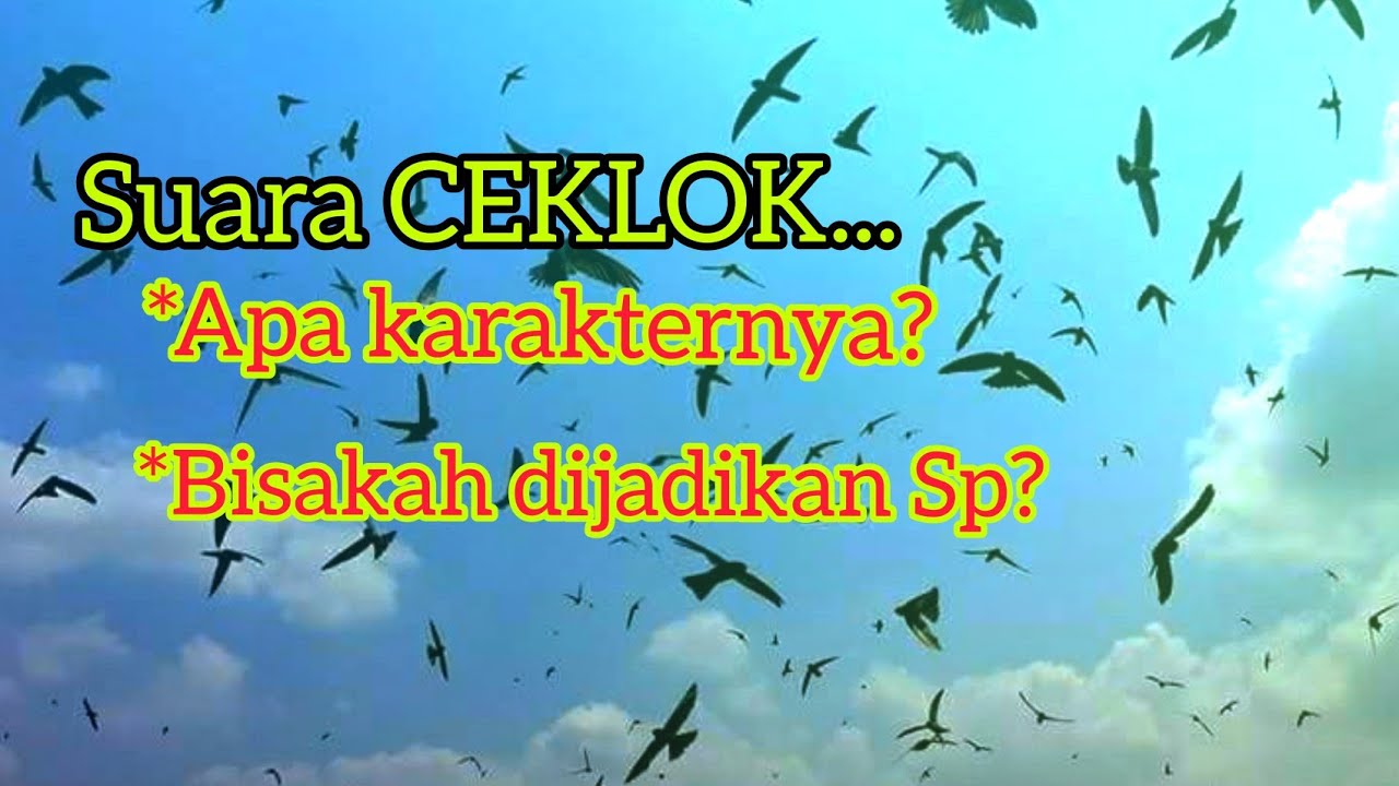 SUARA CEKLOK,BISAKAH UNTUK SP?