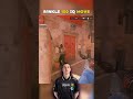 R1nkle epic pro vac moments😳#cs2 #faceit #cs2moments #cs2clips